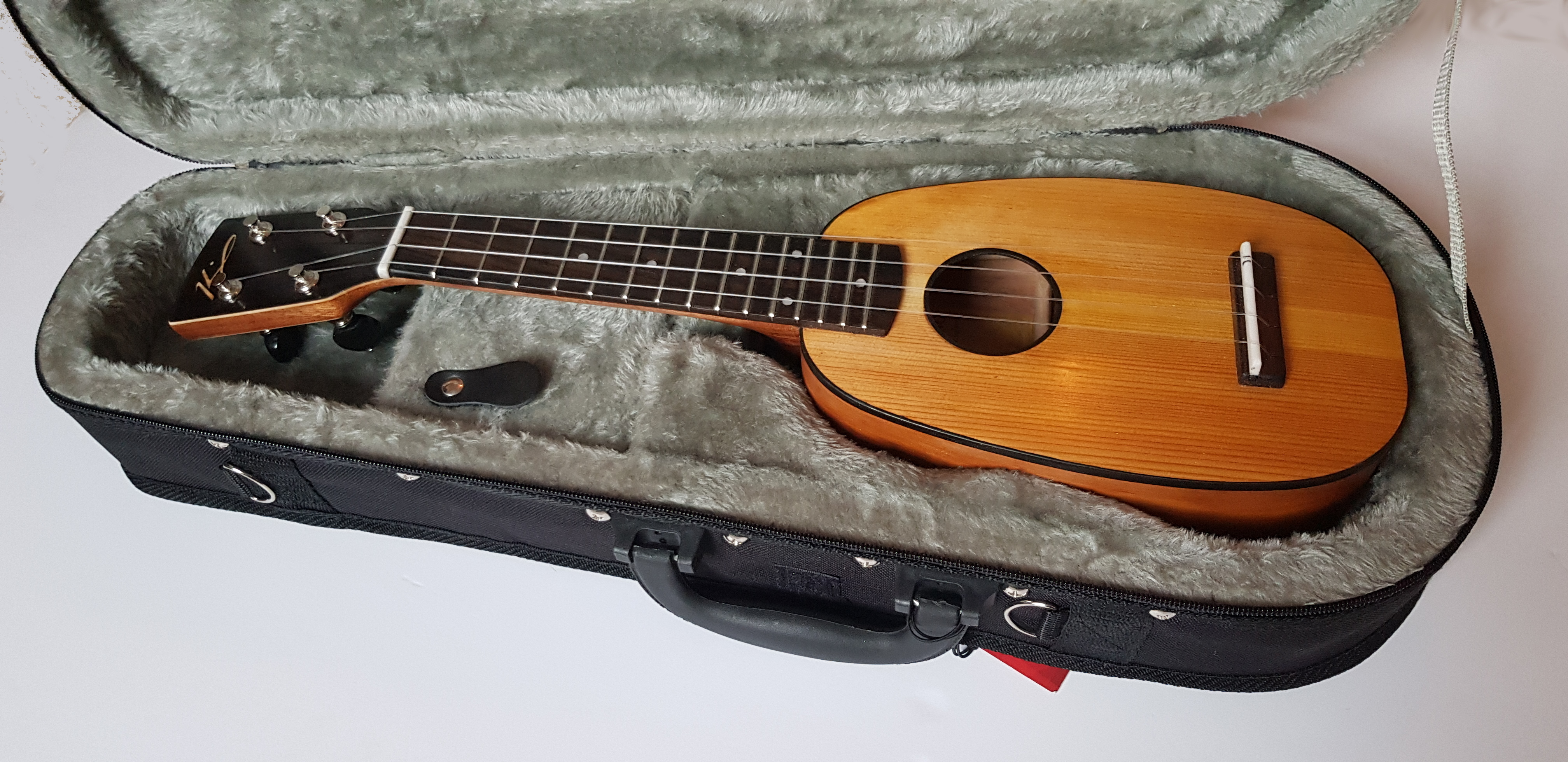 apple and pine pineapple ukulele in case
