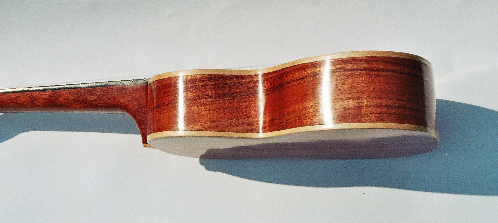 Shot of maple bindings, koa sides